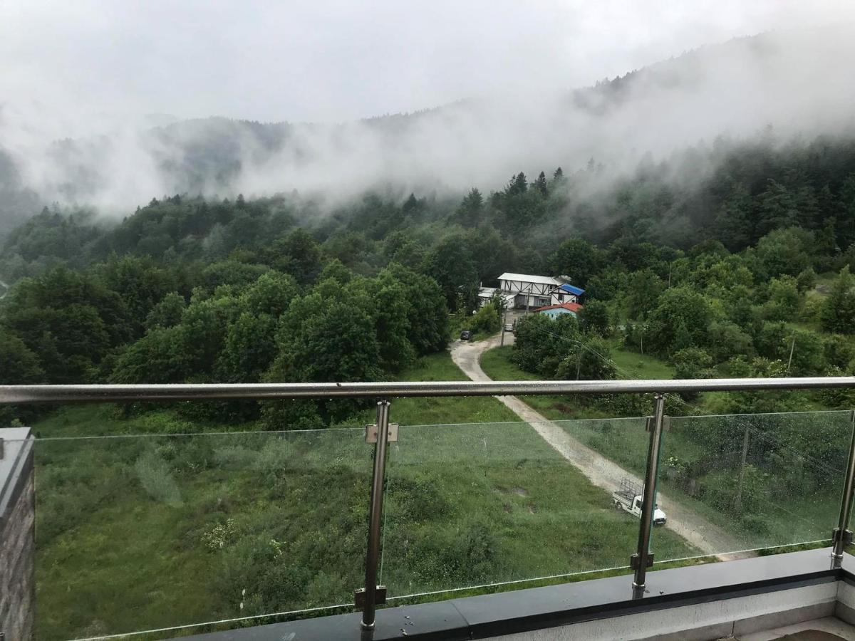 Mountain Residence Sinaia Exterior foto